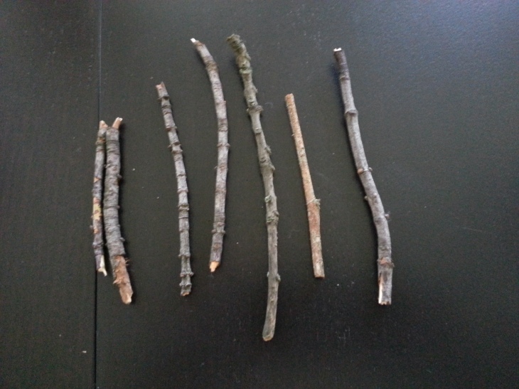we drew sticks to determine who would be cooking. kate and dave got the shortest sticks